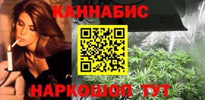 шишки Балашиха