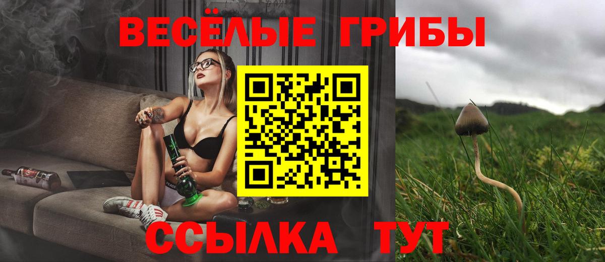 Галлюциногенные грибы мицелий Дубна