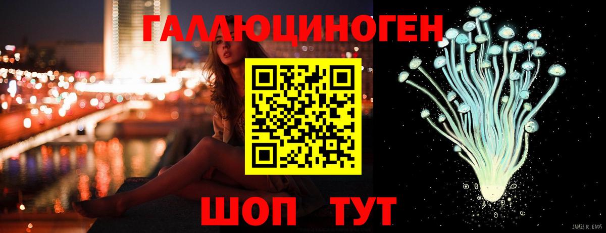 Дубна  Псилоцибиновые грибы Psilocybine cubensis  Вход с VPN 